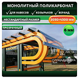 Монолитный BORREX 6 Прозрачный/бесцветный 2050х4300